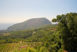 uploads/477/gallery/7-12.still024.jpg 7-12.still024.jpg